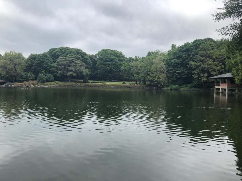 公園の池