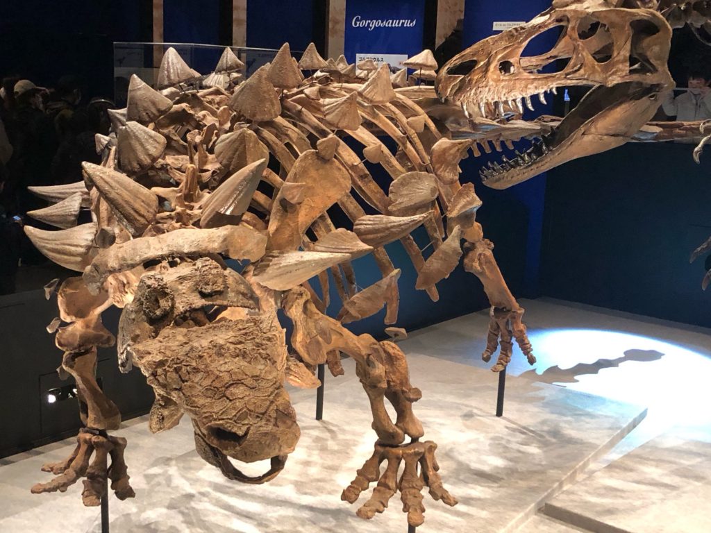 ズール・クルリ・ヴァスタトル